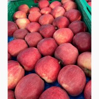 Пропонуємо яблука: Урожай 2023 р. Ціна Договірна! Закарпатська обл