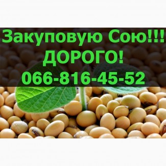 Пропоную найвищі ціни за СОЮ свіжого року урожаю