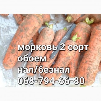 Продам морковь 2 сорт