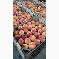 Продам персик, Херсонська область