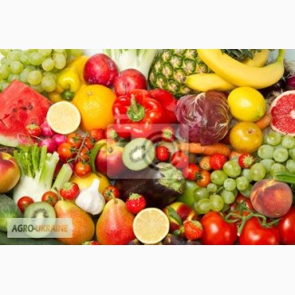 Оптовая поставка овощей и фруктов с Турции