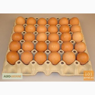 Инкубаторские яйца(отборные, бройлер, брама, несушка)
