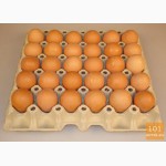 Инкубаторские яйца(отборные, бройлер, брама, несушка)