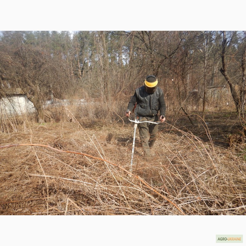 Фото 2. Очистка участка от деревьев Киев