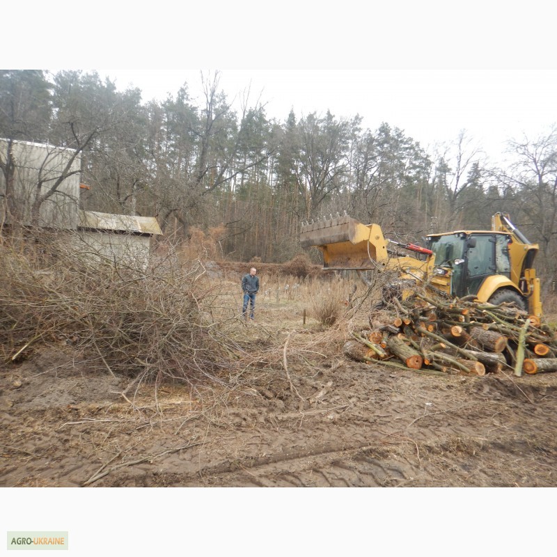 Фото 5. Очистка участка от деревьев Киев