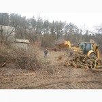 Очистка участка от деревьев Киев
