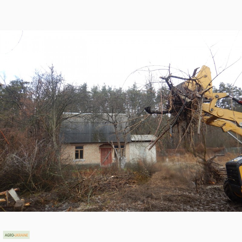 Фото 9. Очистка участка от деревьев Киев