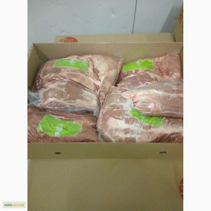 Фото 4. Мясо говядины халяль на экспорт