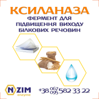 Ксиланаза (Xylanase) Фермент