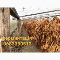 Тютюн Берлі ціна 400 грн грн 1кг
