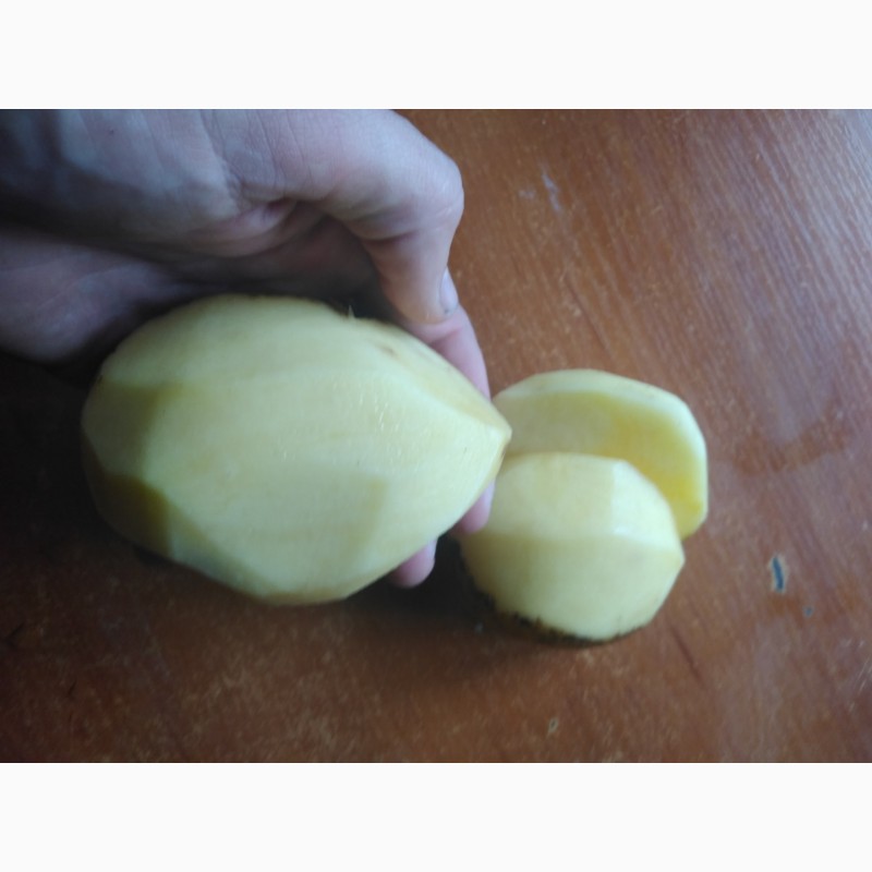 Фото 3. Продам картоплю Крона
