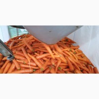 Морковка Органик