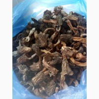 Продам гриби Сморчки сушені
