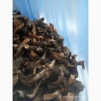 Продам гриби Сморчки сушені