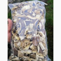 Продам сушёные грибы вешанки