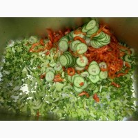 Овочерізка STvega Belt Cutter H150 шаткування, нарізка зелені, овочів, фруктів