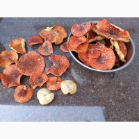 Продам мухомор красный (Amanita muscaria)