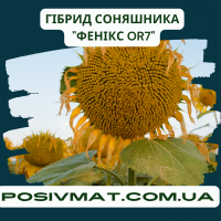 ФЕНІКС OR7, НАСІННЯ посухостійкого гібриду соняшника, безкоштовна доставка