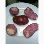Продам картофель с красной, синей, фиолетовой мякотью, 26 цветных и редких сортов