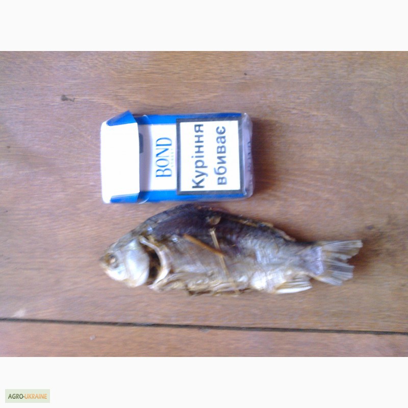 Фото 6. Риба з печі на соломі сушена