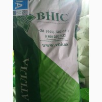 Продам насіння гібридів соняшника ВНІС 2017 року урожаюВНІС