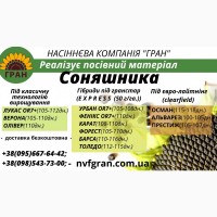 Виробник пропонує насіння/безкоштовна доставка по всій Україні
