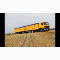 Перевезення зерновозами с/г вантажів по Україні