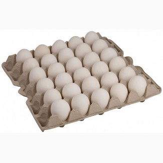 Яйцо Куриное С0 С1 цена 1 грн оптом от 5000 тысяч
