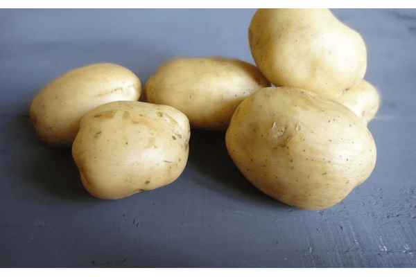 Фото 2. Продам картофель семенной от ранних до поздних сортов. В наличии 20 сортов. Розница и опт