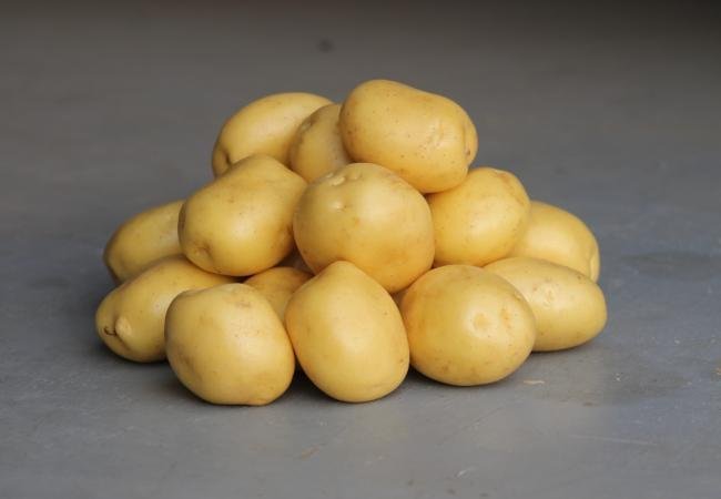 Фото 5. Продам картофель семенной от ранних до поздних сортов. В наличии 20 сортов. Розница и опт