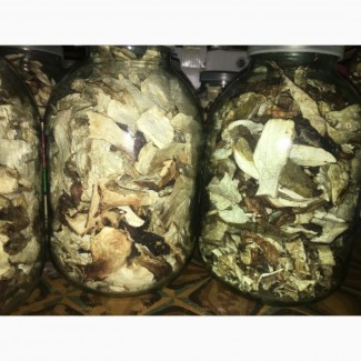Продам Карпатські білі сушені гриби