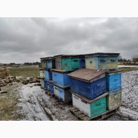 Продам вулики, улья для пчёл