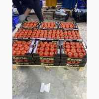 Продам помидор