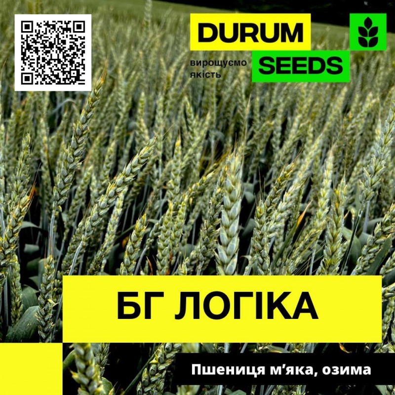 Фото 7. Насіння пшениці Durum Seeds 2024 - Оригінатор - Biogranum, Сербія