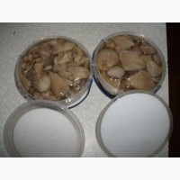 Купим грибы свежие и консервированные