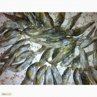 Продаю сушеную рыбу (азовский бычок)