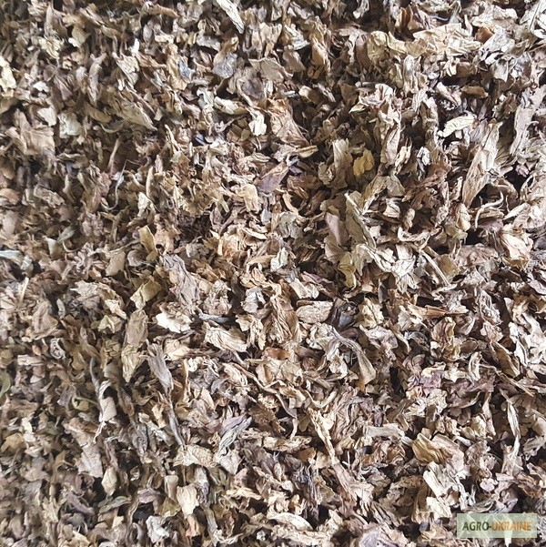 Фото 12. Табак Листовой Оптом от 20 тонн из Индонезии – Jatim VO – ферментированный, Индонезия