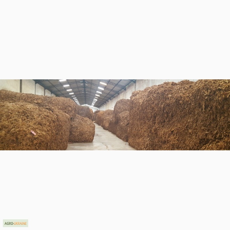 Фото 4. Табак Листовой Оптом от 20 тонн из Индонезии – Jatim VO – ферментированный, Индонезия