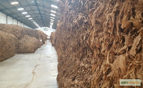 Фото 6. Табак Листовой Оптом от 20 тонн из Индонезии – Jatim VO – ферментированный, Индонезия