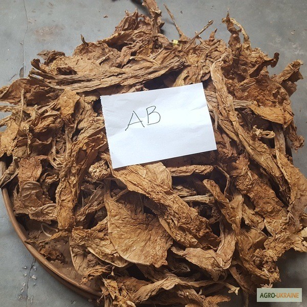 Фото 7. Табак Листовой Оптом от 20 тонн из Индонезии – Jatim VO – ферментированный, Индонезия