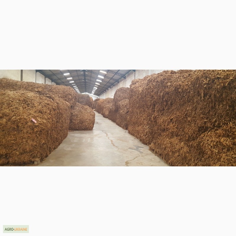 Фото 8. Табак Листовой Оптом от 20 тонн из Индонезии – Jatim VO – ферментированный, Индонезия