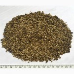 Продам Алтей лекарственный семена (Althaea officinalis seed)