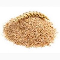 Продам висівку пшеничну