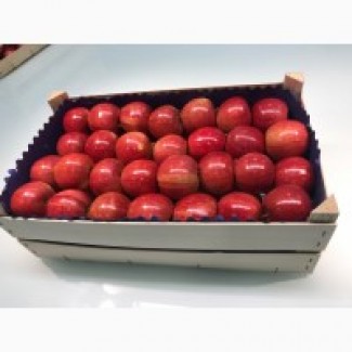 Продам яблоки от Польского производителя