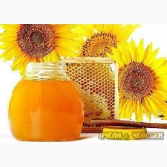 Продам натуральний соняшниковий мед 2020