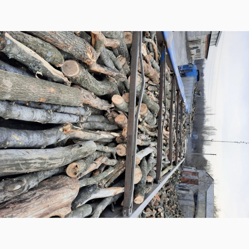 Фото 3. Куплю дрова твердих порід