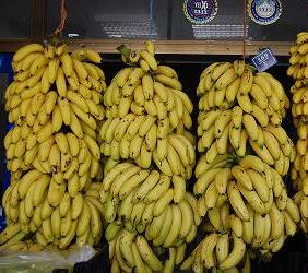 Фото 4. Продаем бананы из Турции