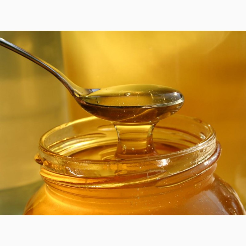Продам мед, купити мед — Agro-Ukraine