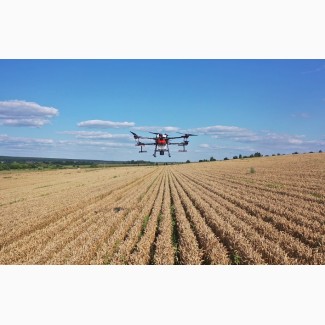 Послуги десикації кукурудзи дронами