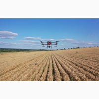 Послуги десикації кукурудзи дронами